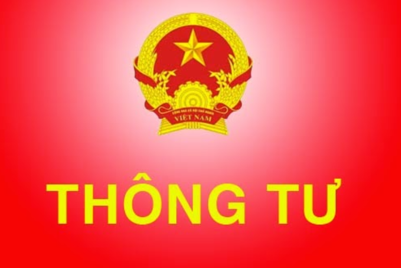 Thông tư số 12/2022/TT-BTTTT của Bộ Thông tin và Truyền thông: Quy định chi tiết và hướng dẫn một số điều của Nghị định số 85/2016/NĐ-CP ngày 01/7/2016 của Chính phủ về bảo đảm an toàn hệ thống thông tin theo cấp độ