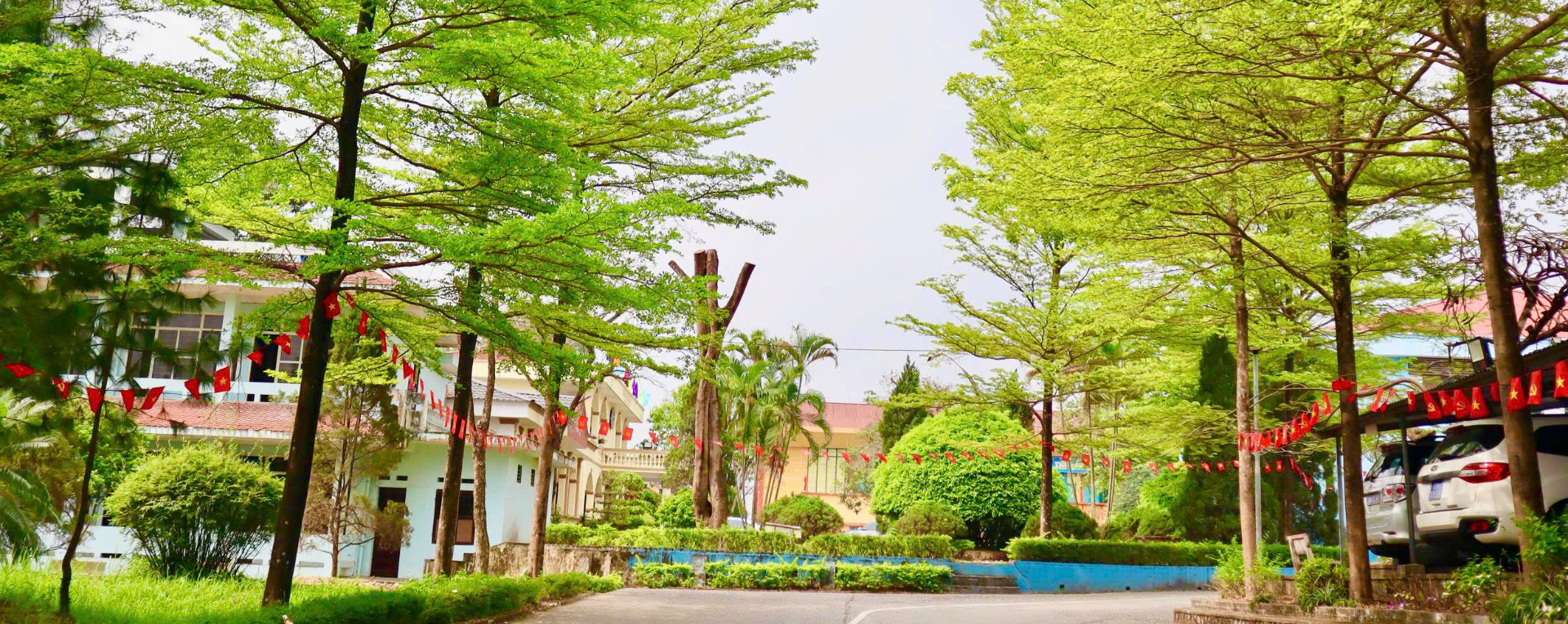 Ảnh quang cảnh trường