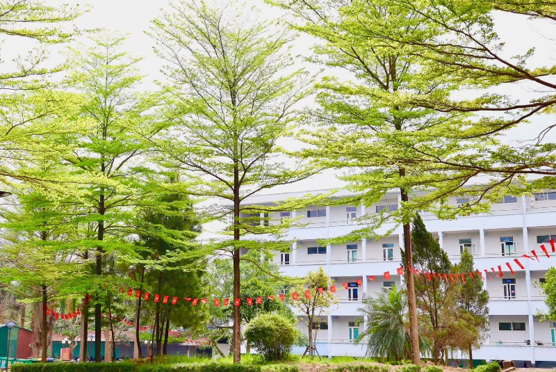 Quyết định về việc công nhận danh sách thí sinh trúng tuyển Cao đẳng chính quy ngành Giáo dục Mầm non đợt bổ sung năm 2026 Quyết định về việc công nhận danh sách thí sinh trúng tuyển Cao đẳng chính quy ngành Giáo dục Mầm non đợt bổ sung năm 2026