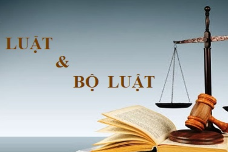Luật Công đoàn năm 2024