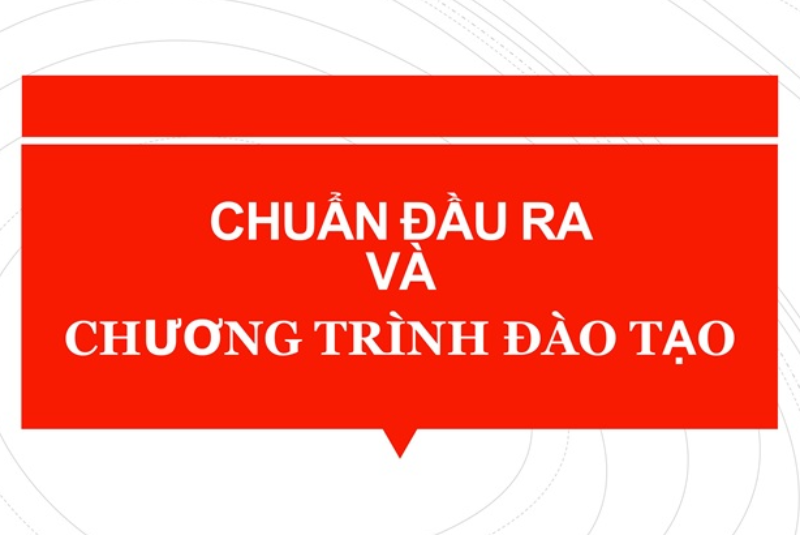 Chuẩn đầu ra và Chương trình đào tạo ngành Giáo dục Mầm non