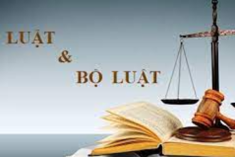 Luật sửa đổi, bổ sung một số điều của Luật đấu thầu, Luật Đầu tư theo phương thức đối tác công tư, Luật Hải quan, Luật Thuế giá trị gia tăng, Luật Thuế xuất khẩu, Thuế nhập khẩu, Luật Đầu tư, Luật Đầu tư công, Luật Quản lý, sử dụng tài sản công