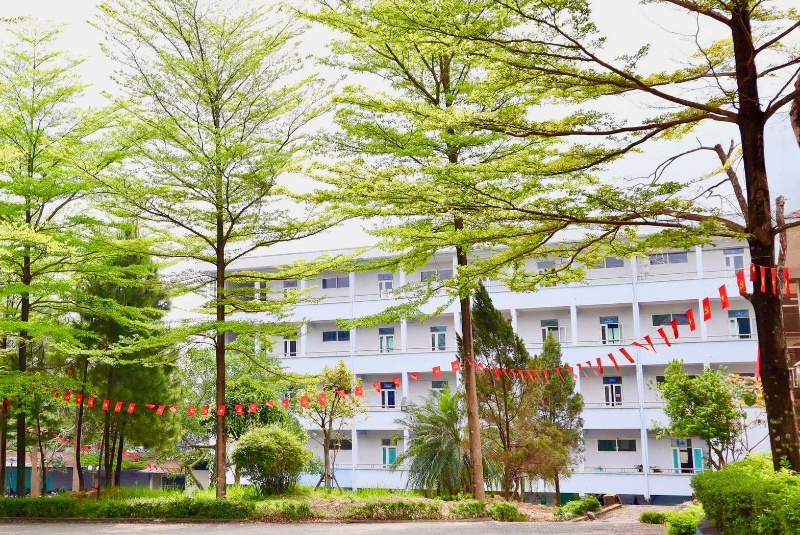 Hướng dẫn thí sinh tra cứu kết quả tuyển sinh và xác nhận nhập học năm 2026